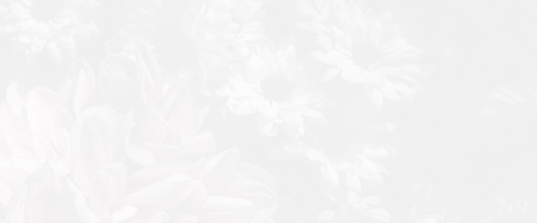 Banner media