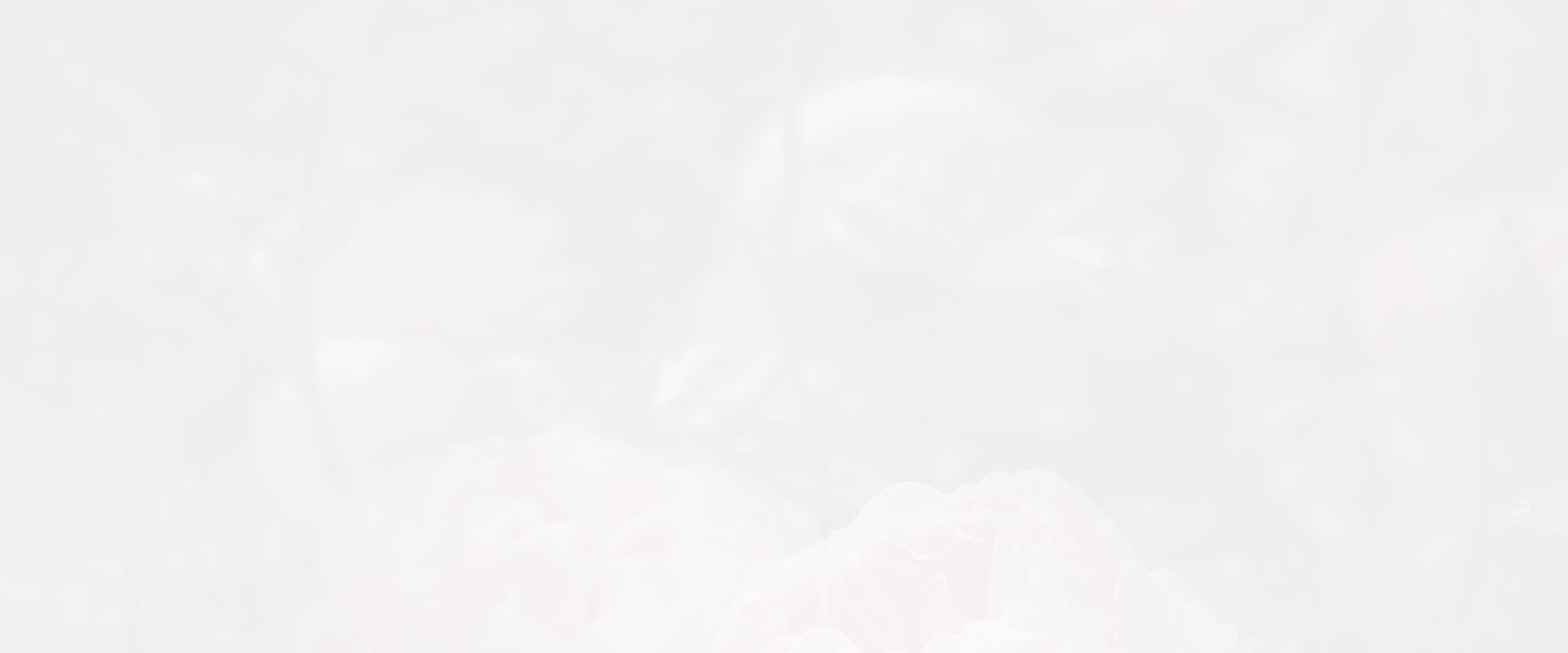 Banner media