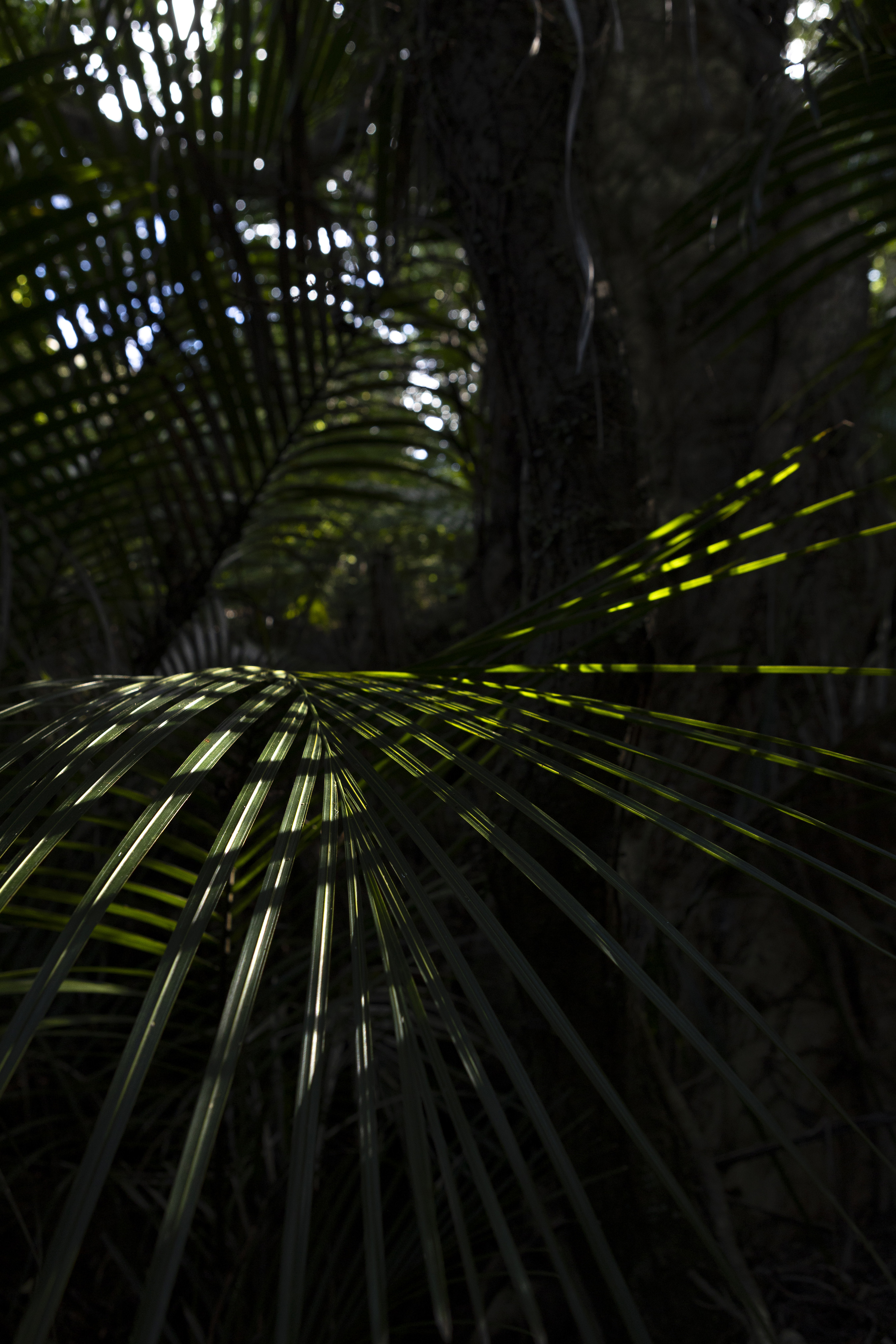 A Pause Between Doors