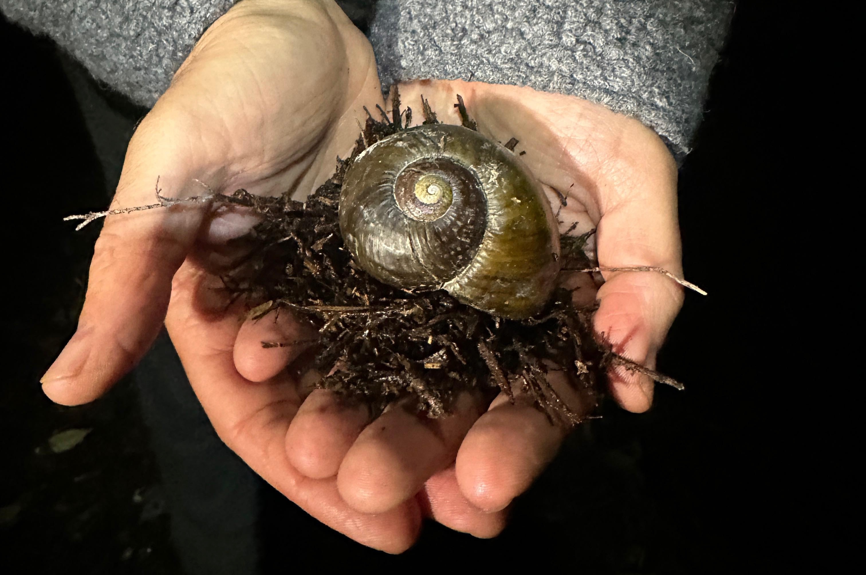 To those helping care for the land