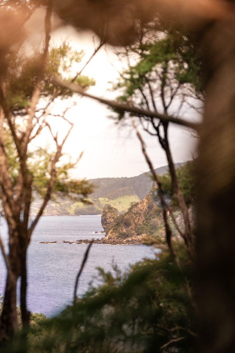 Reflections from the land: | Max Hoffmann