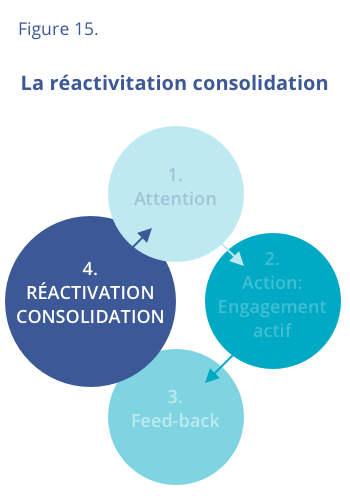 La réactivation consolidation