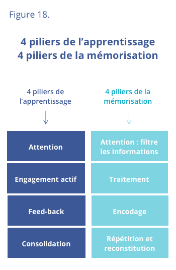 4 piliers de la mémorisation