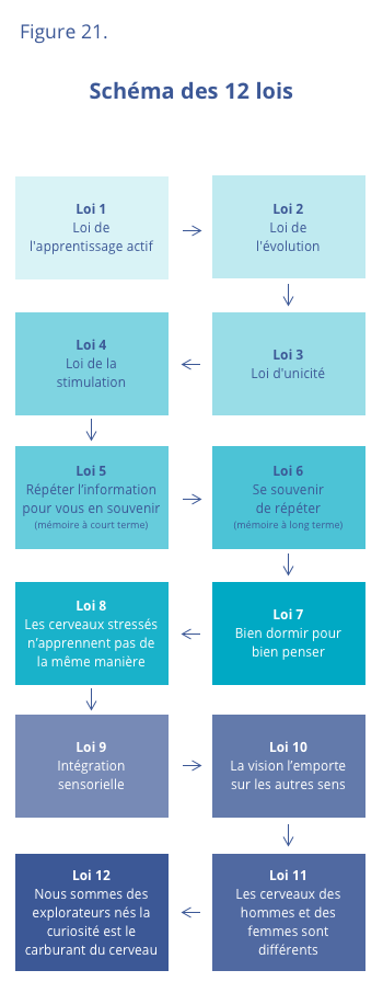 Les 12 lois du cerveau