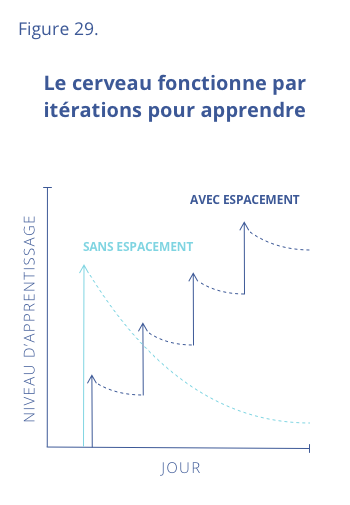 Le cerveau fonctionne par itérations pour apprendre