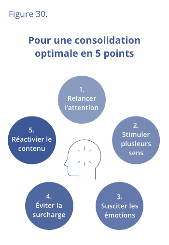 Pour une consolidation optimale en 5 points