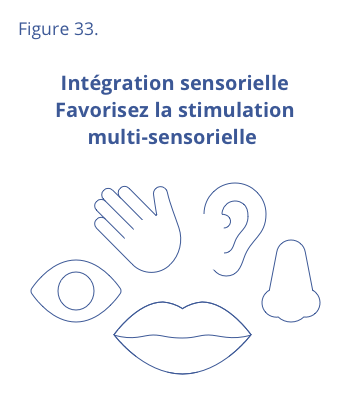 Favorisez la stimulation multi-sensorielle