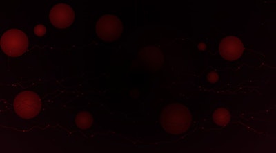 AI Readiness: 5 Questions Before You Invest