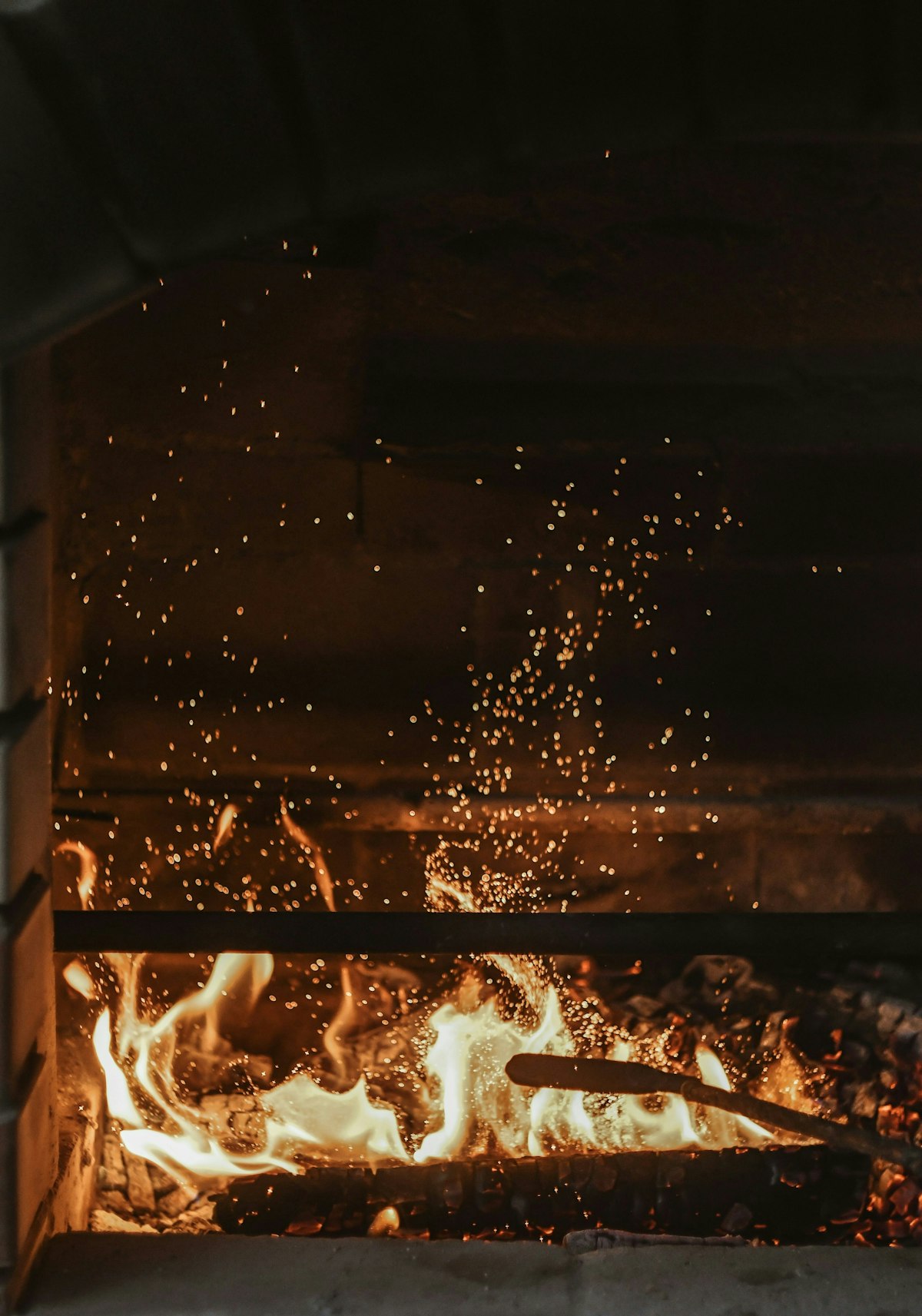 A Bird In My Chimney | Zip Fires