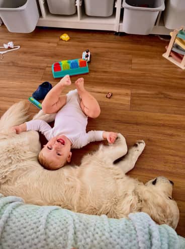 Coper, Baby + Arlo, Golden Retriever  — JoeBenTaylor