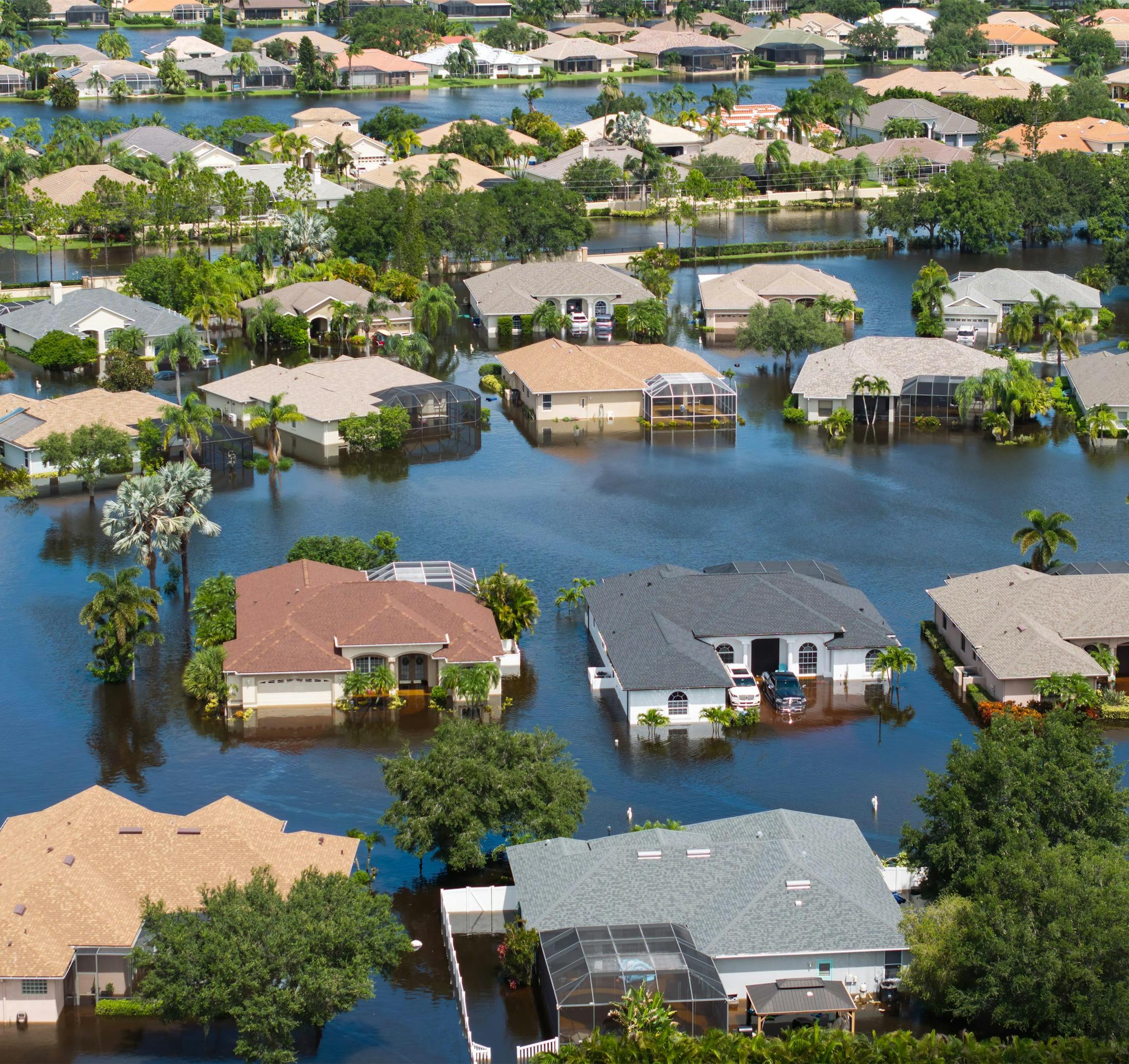 flooded neighborhood