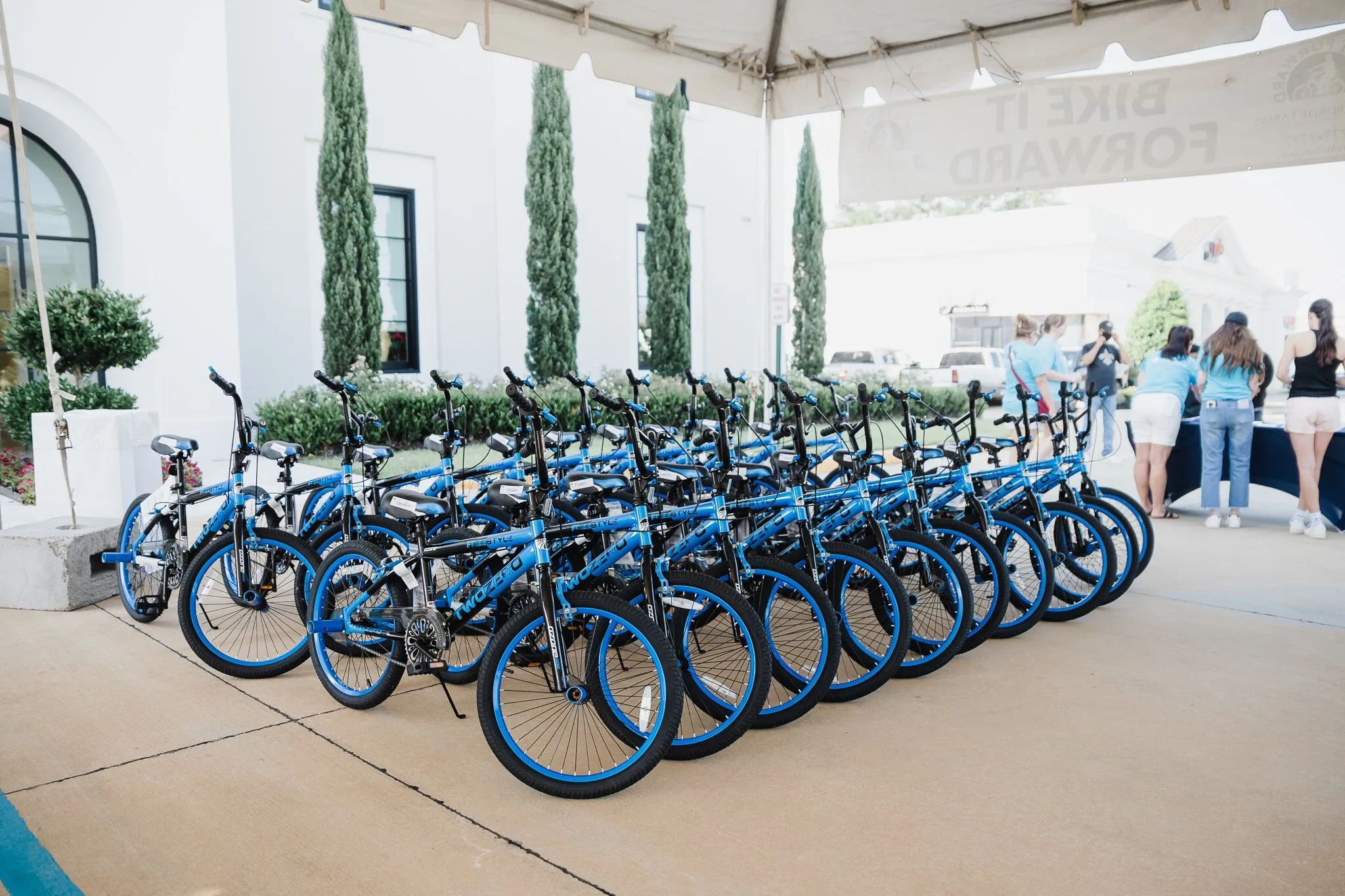 Bikes lined up at event 
