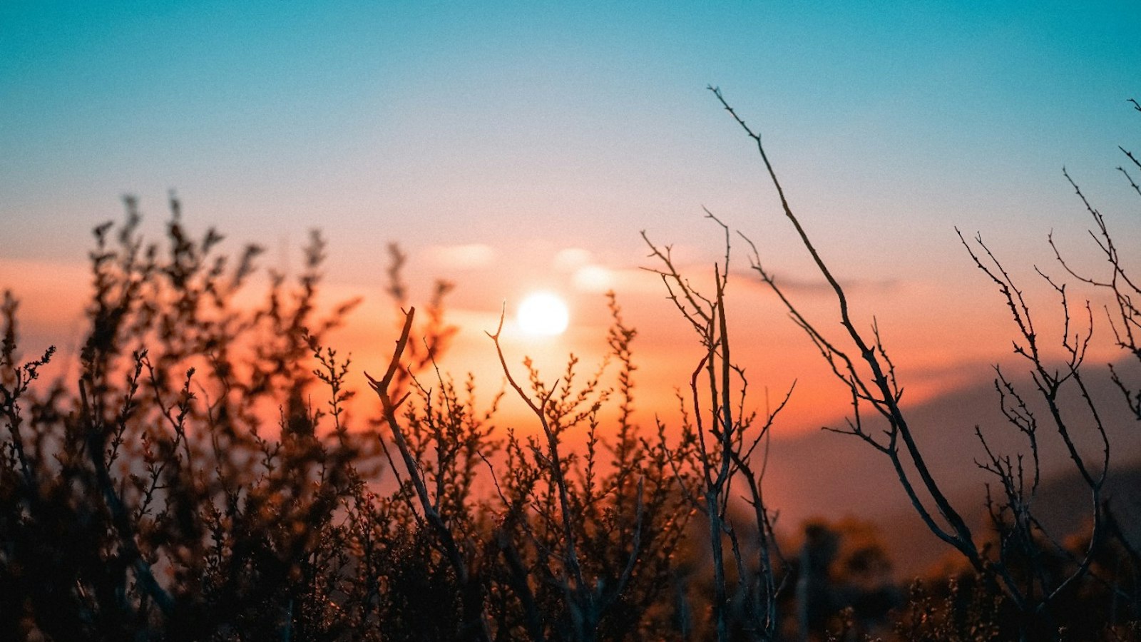 Sundown