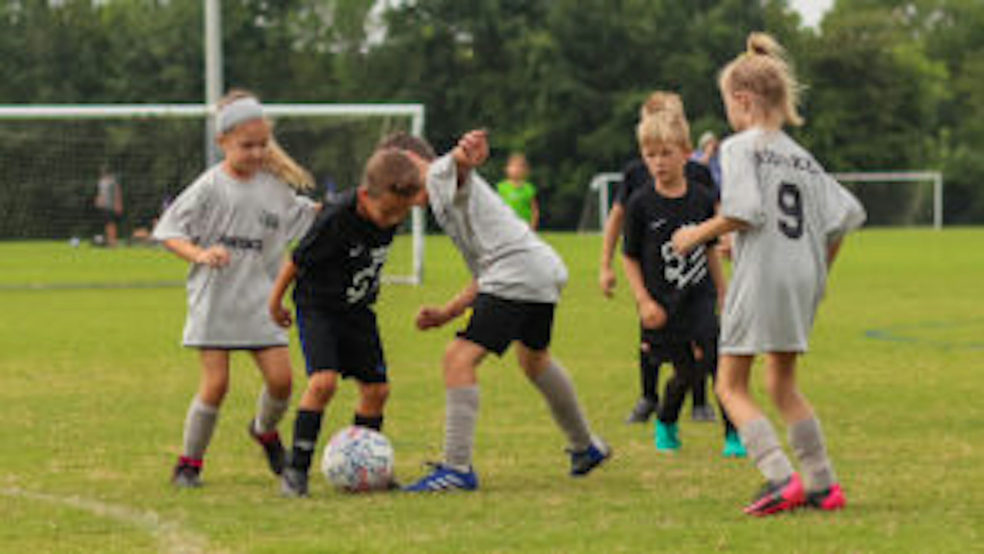 August Newsletter 2022