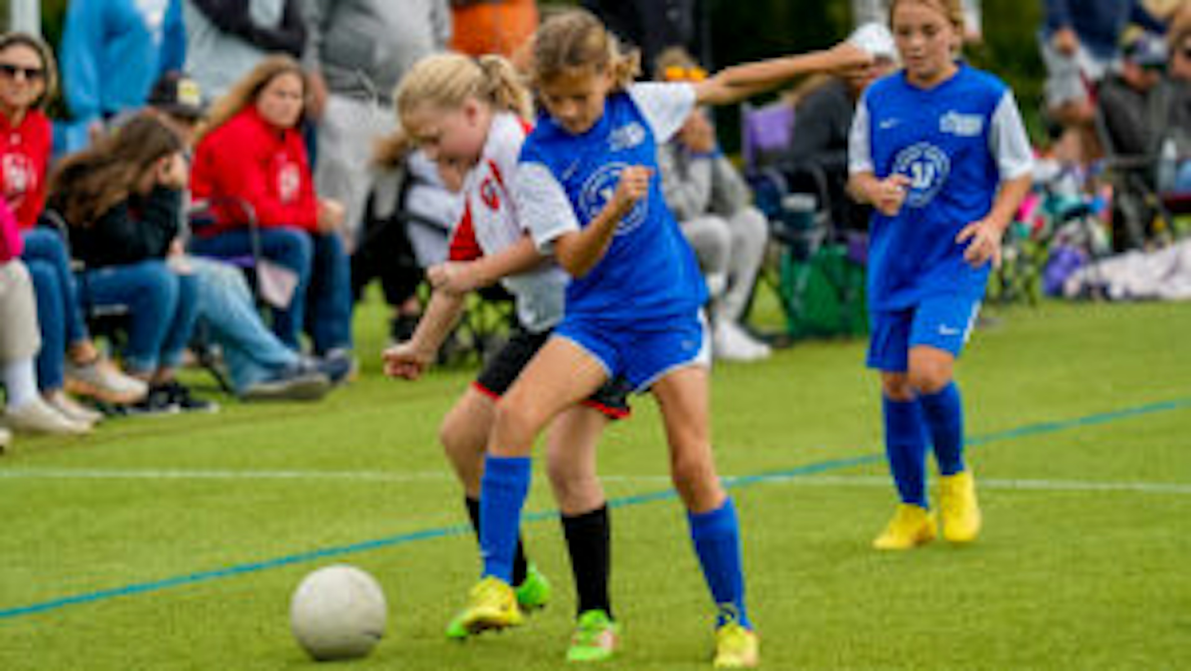 September Newsletter 2022