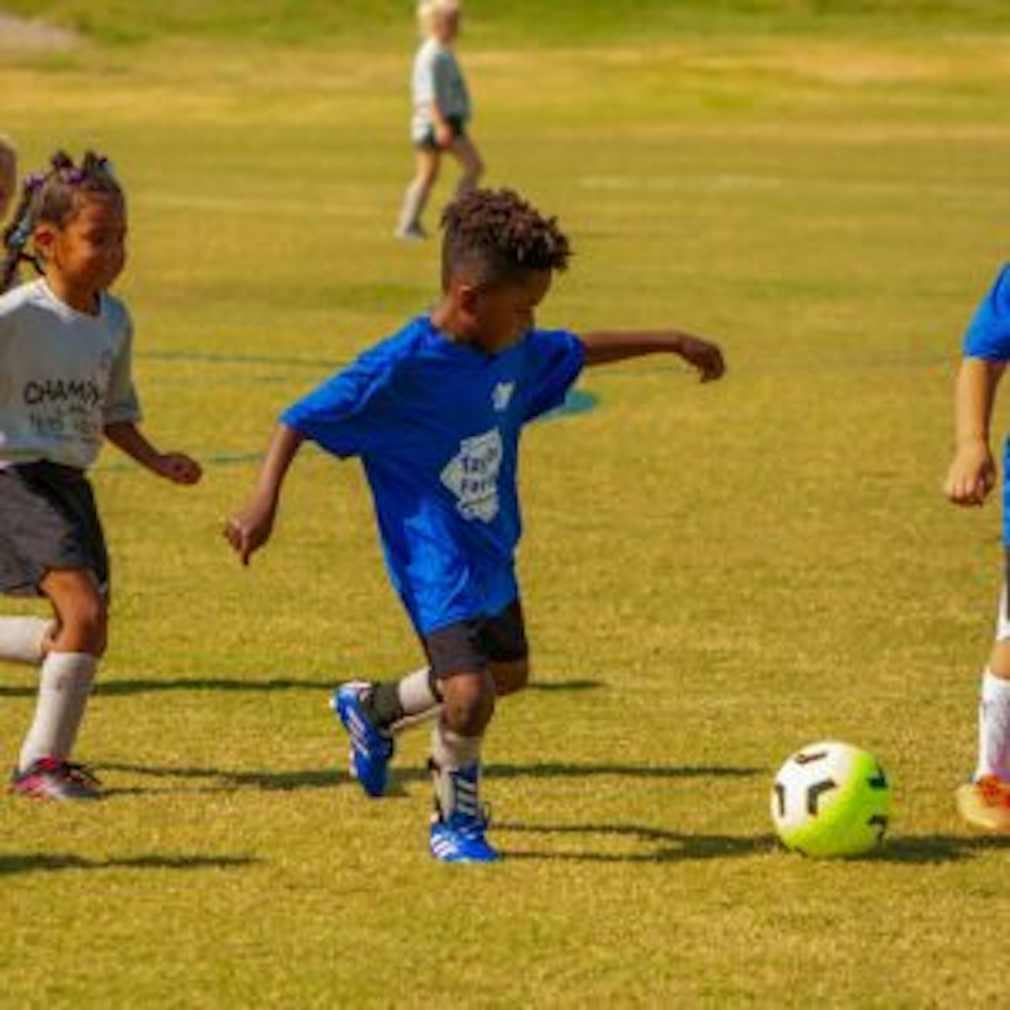 August Newsletter 2023