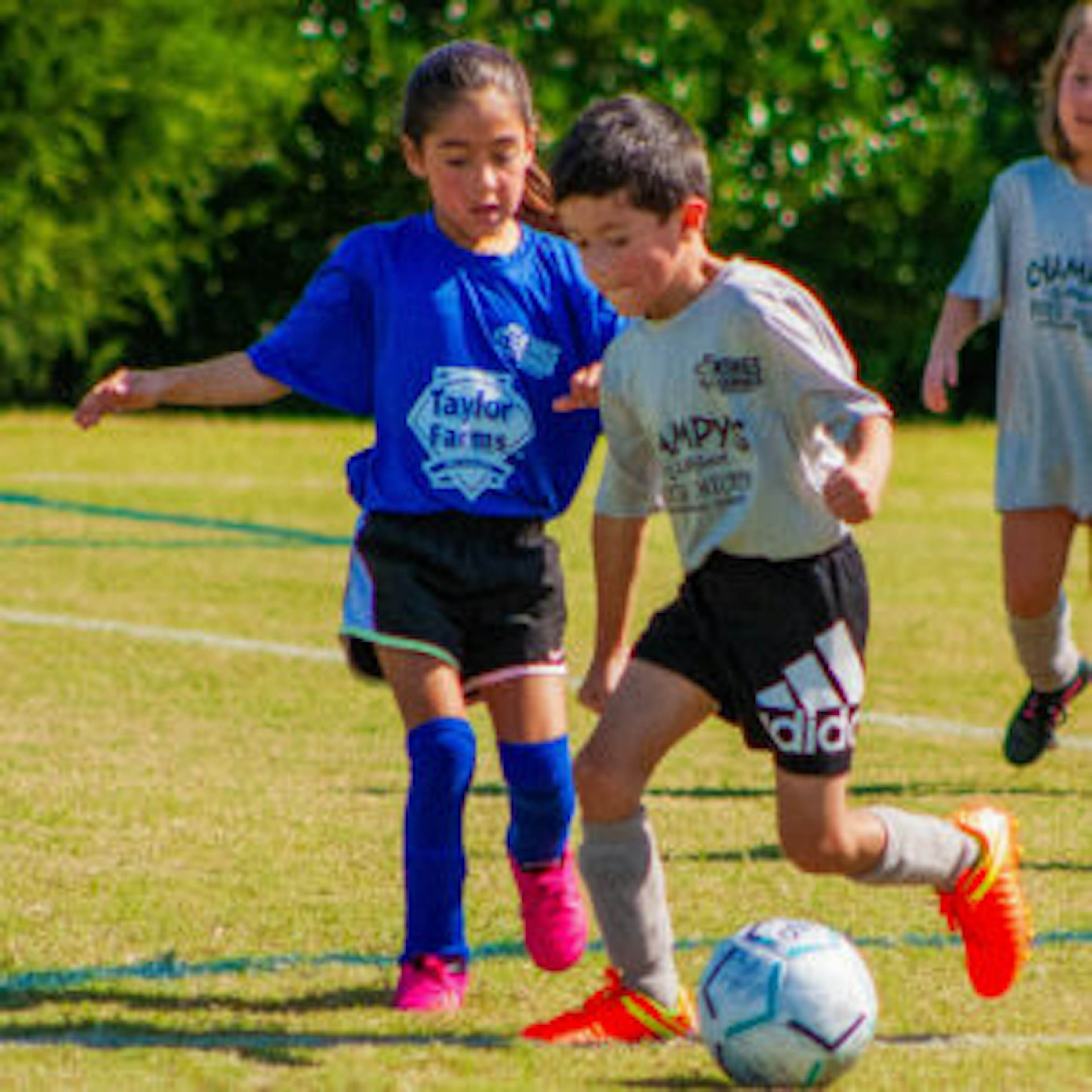 October Newsletter 2023