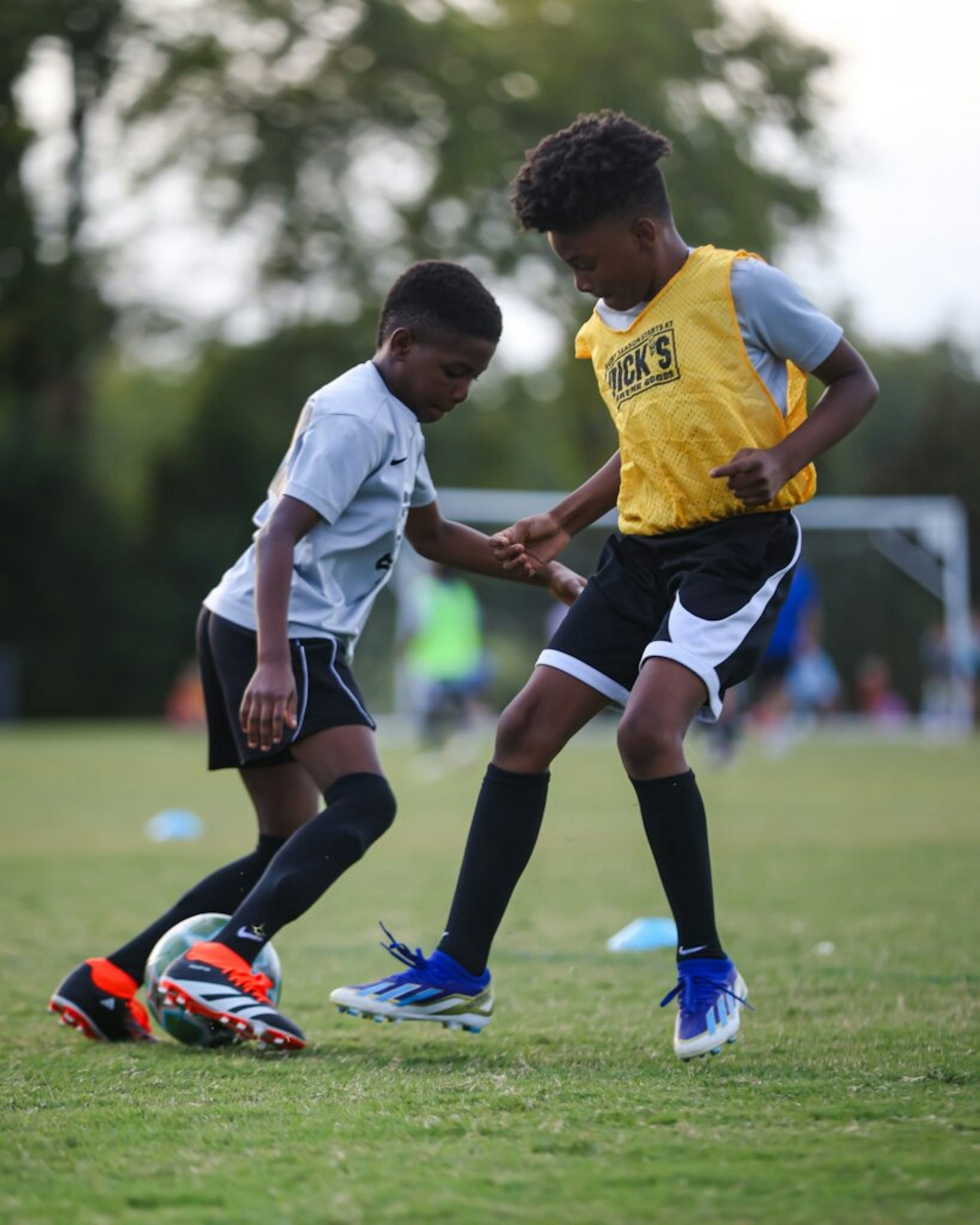August Newsletter 2024