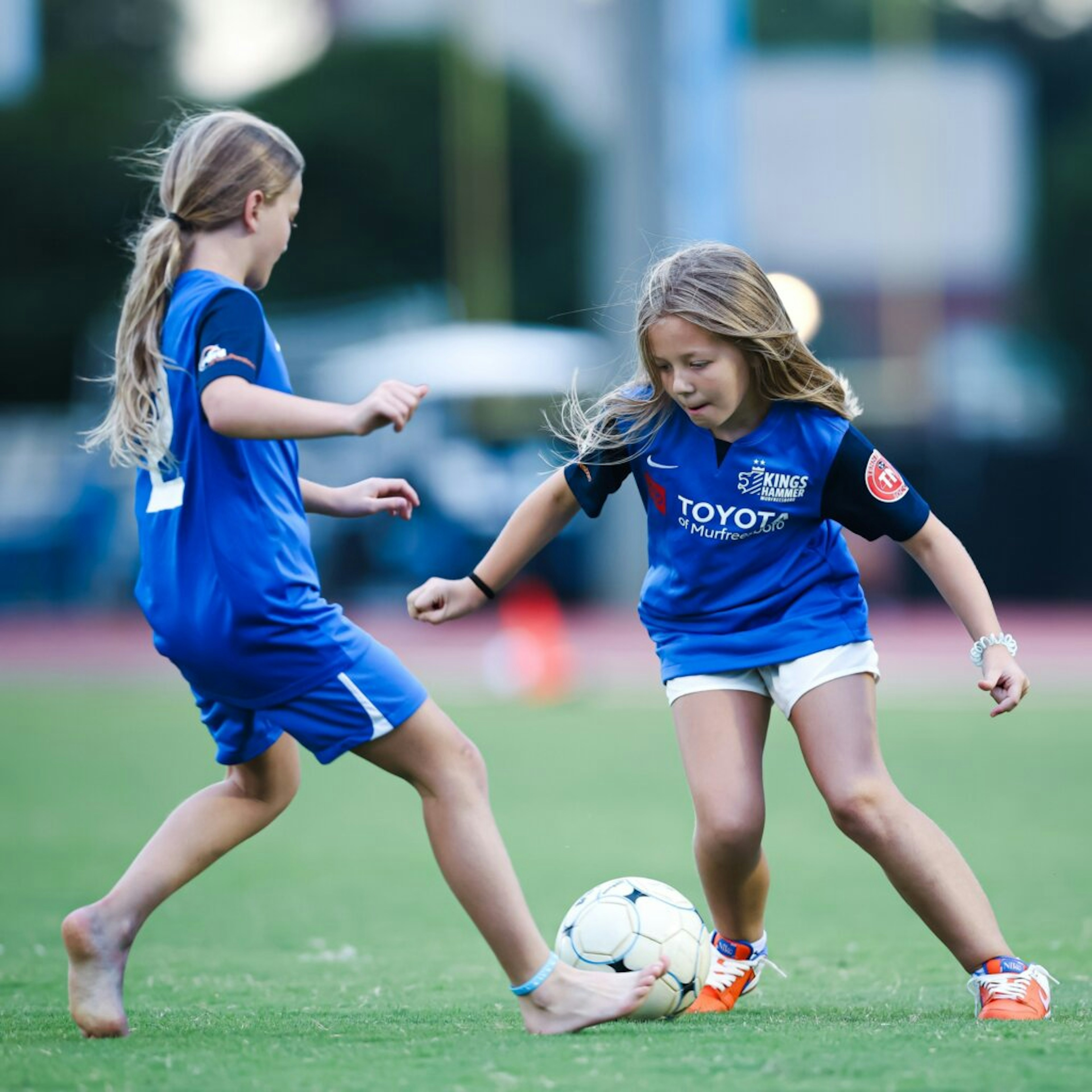 August Newsletter 2024