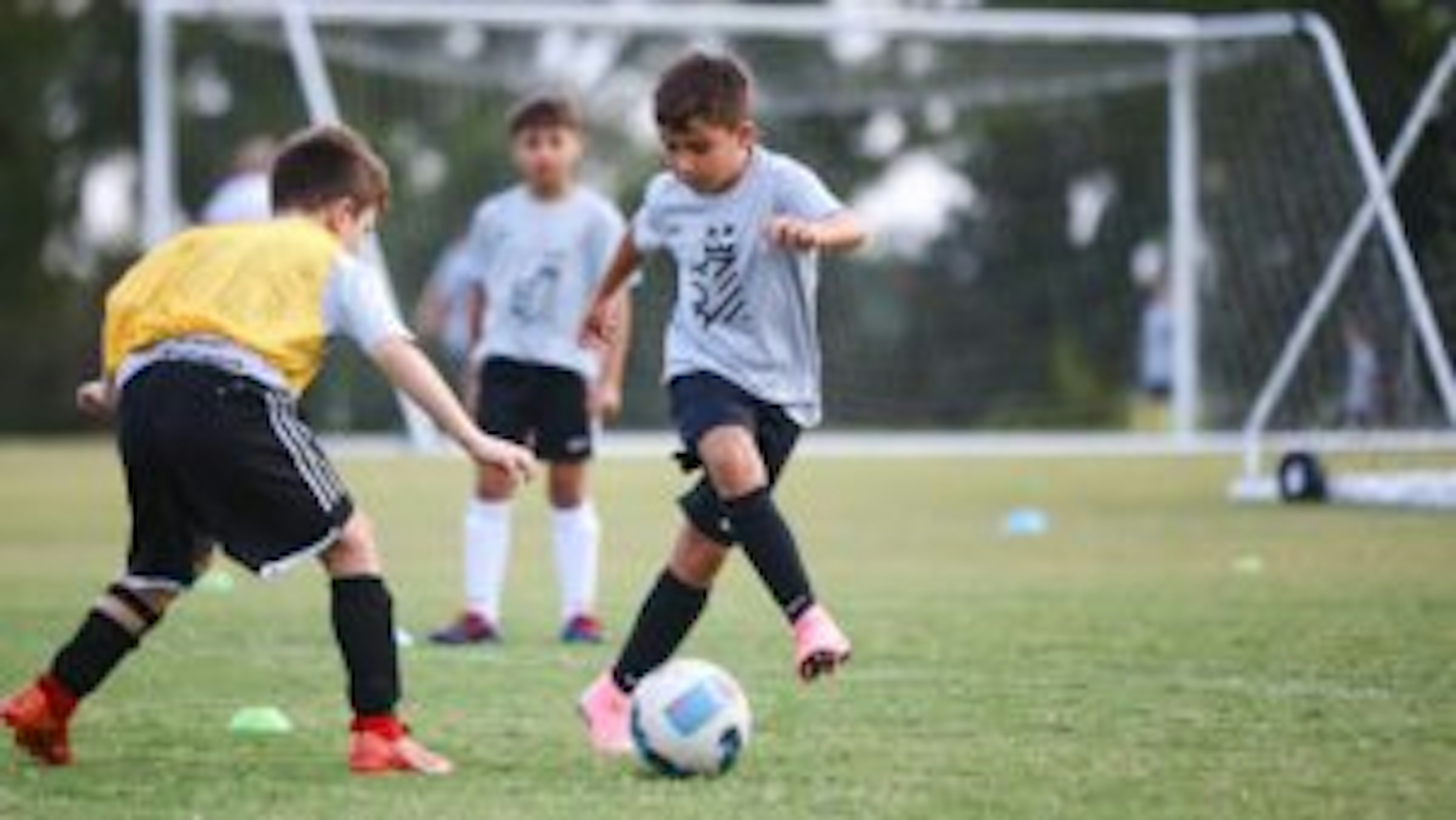 October Newsletter 2024