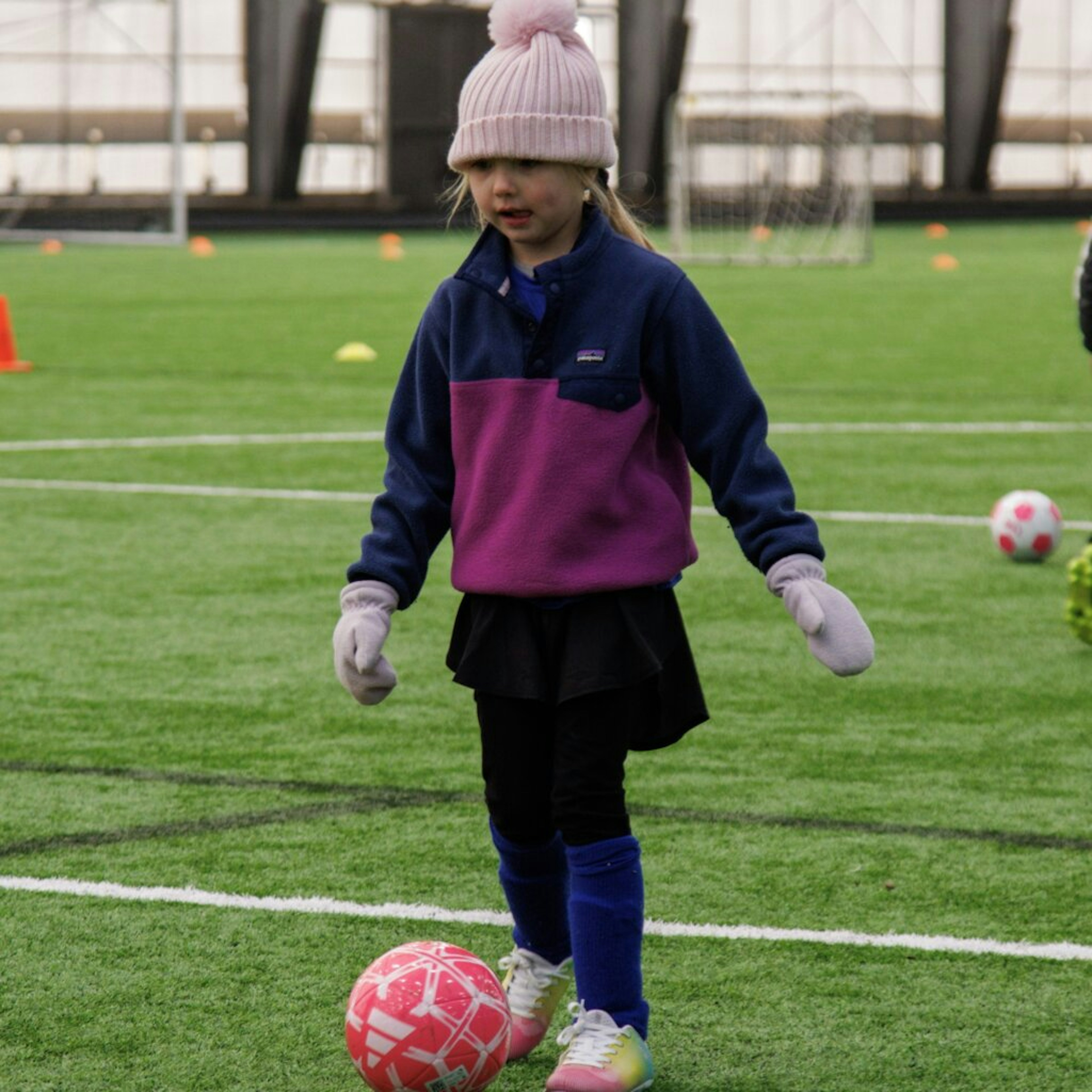 February Newsletter 2025