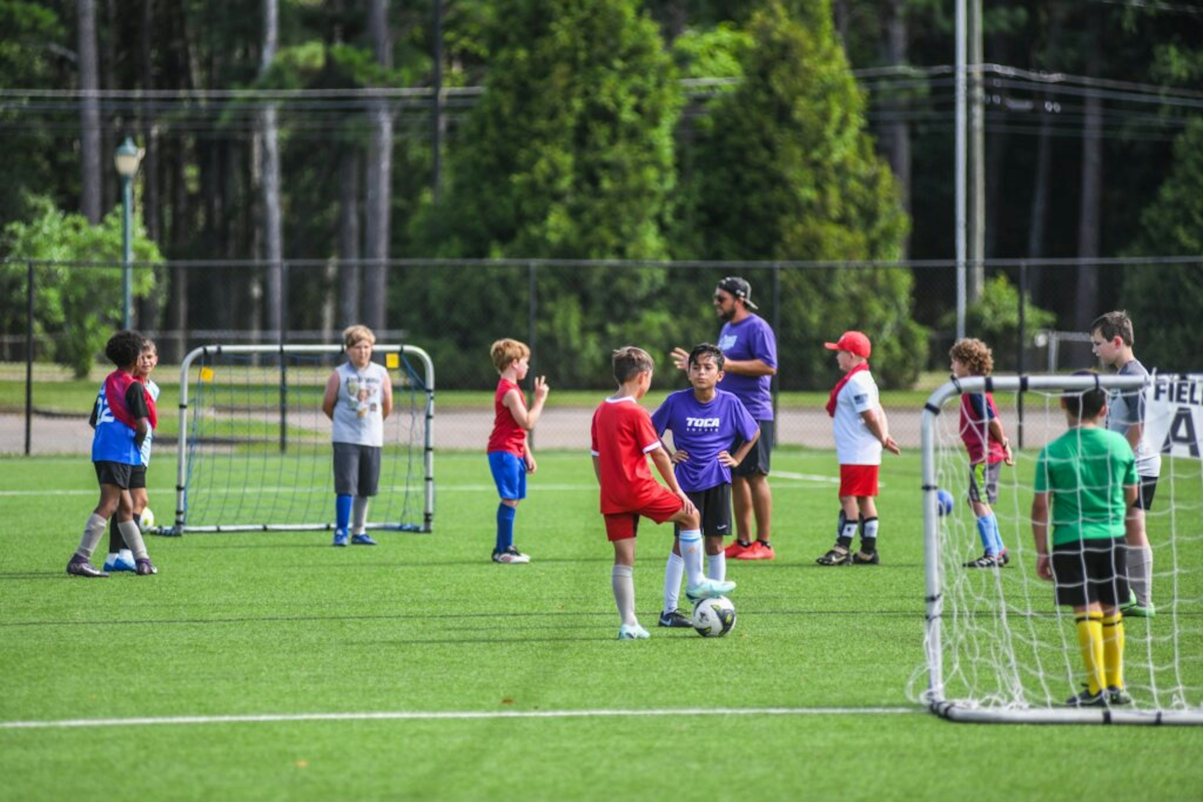 July Newsletter 2025