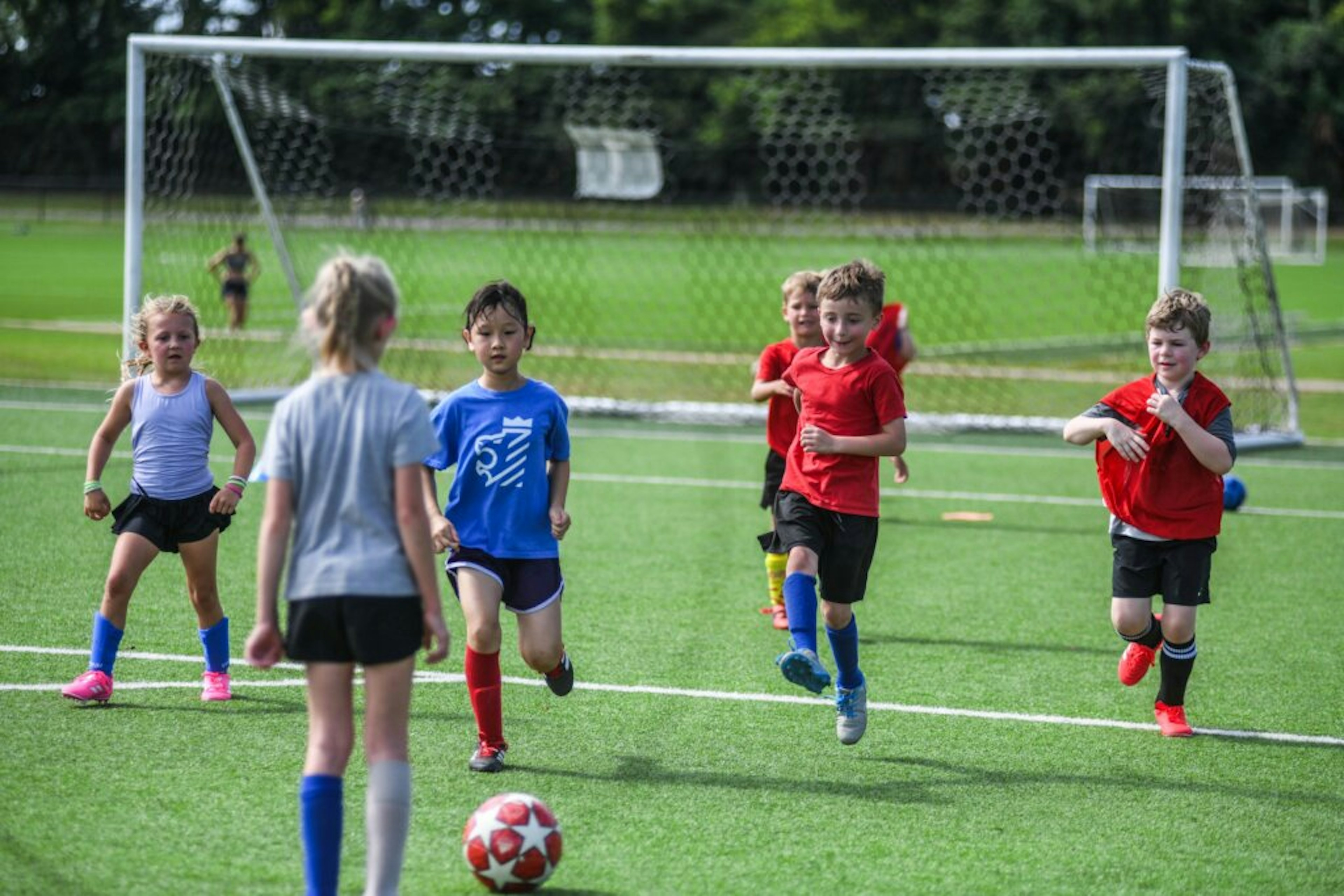 July Newsletter 2025
