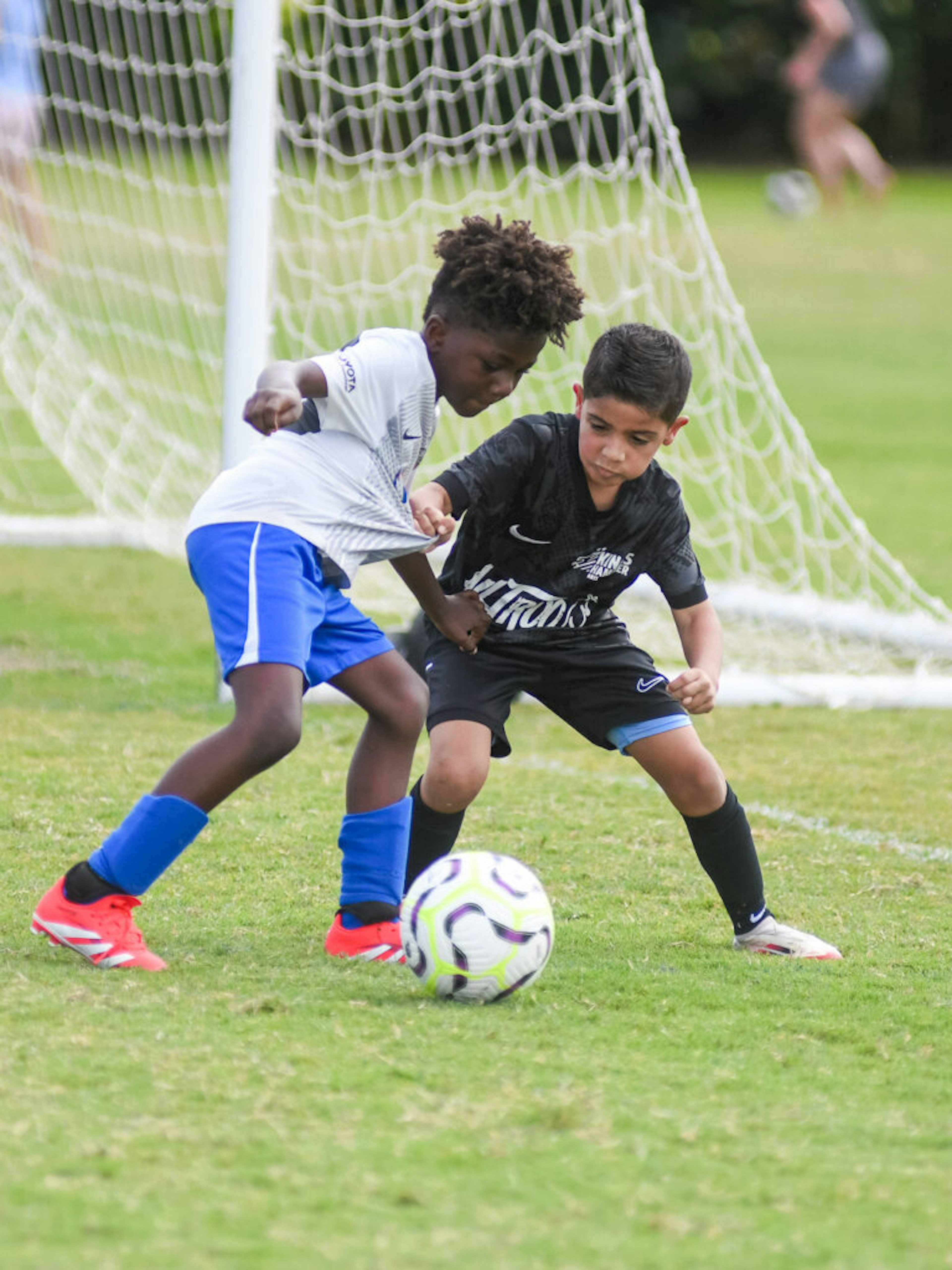 August Newsletter 2025