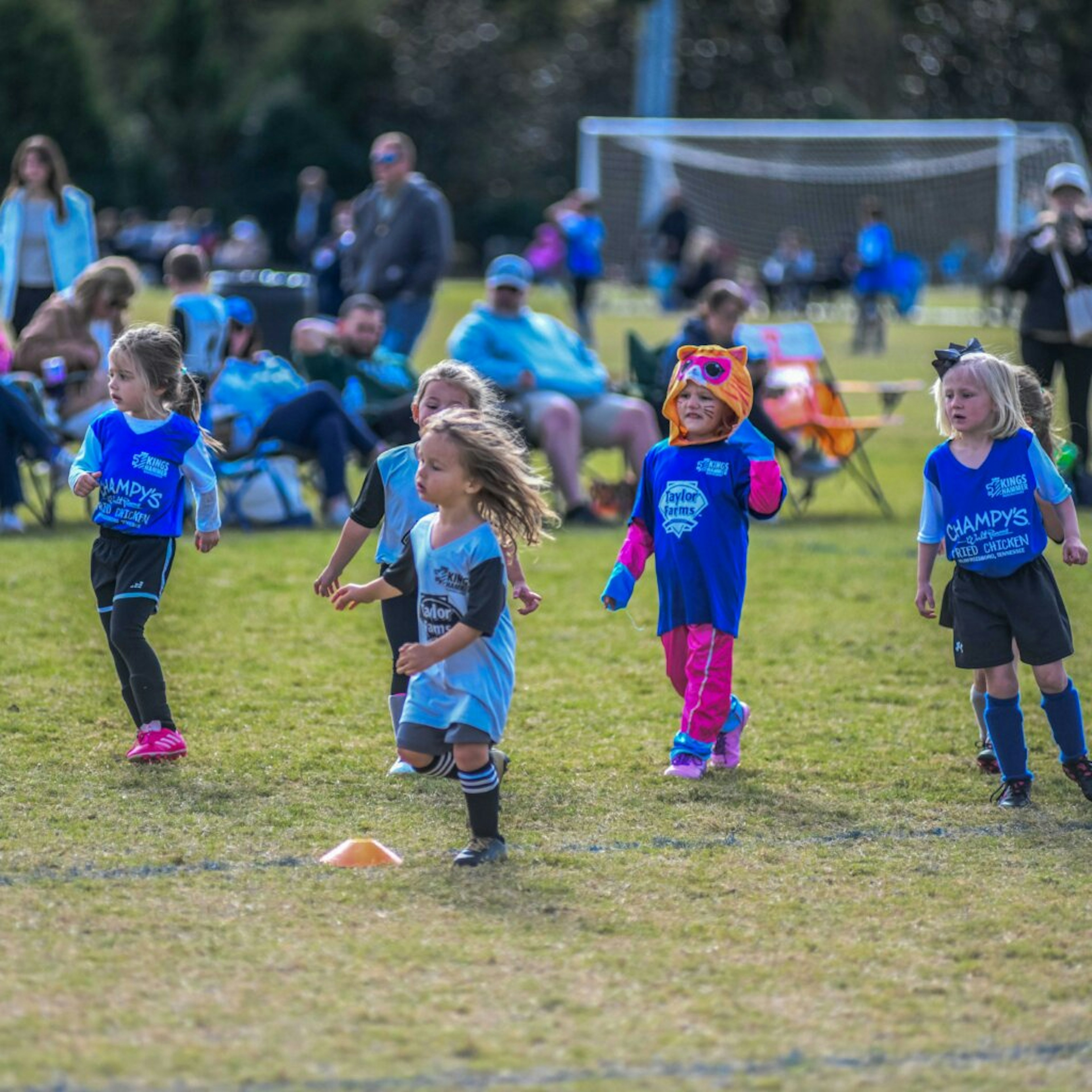 October Newsletter 2025