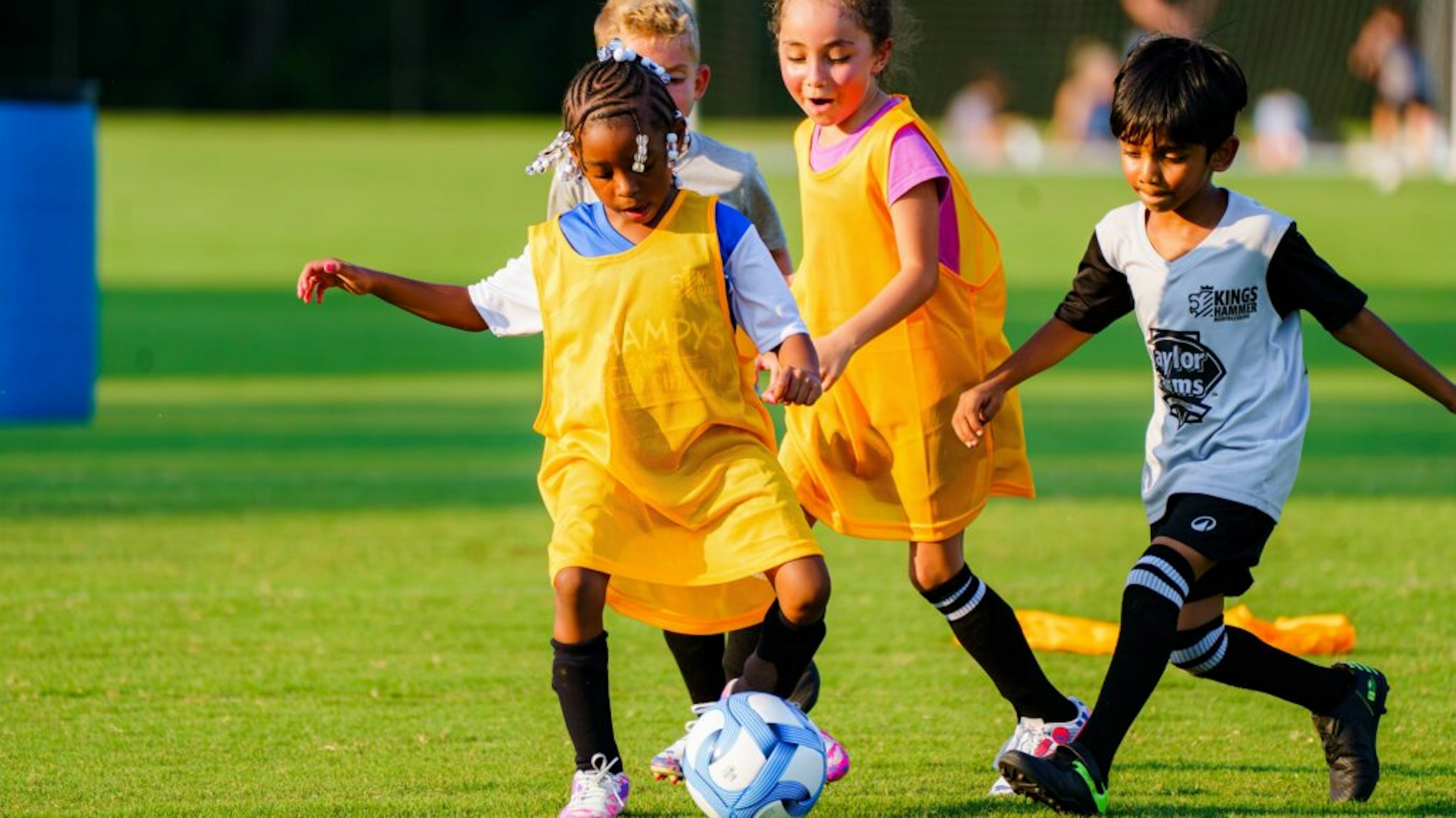 August Newsletter 2026