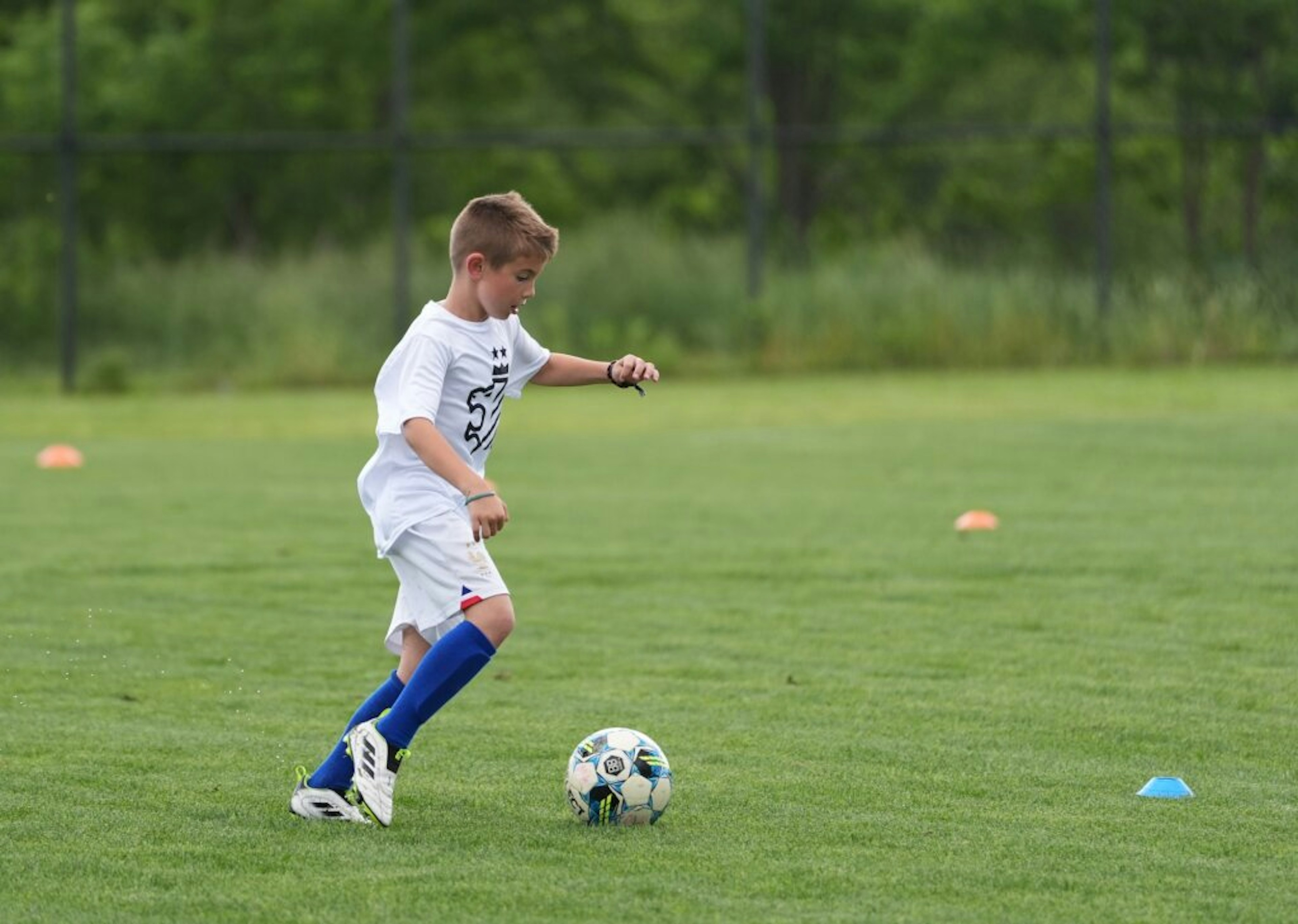 July Newsletter 2025