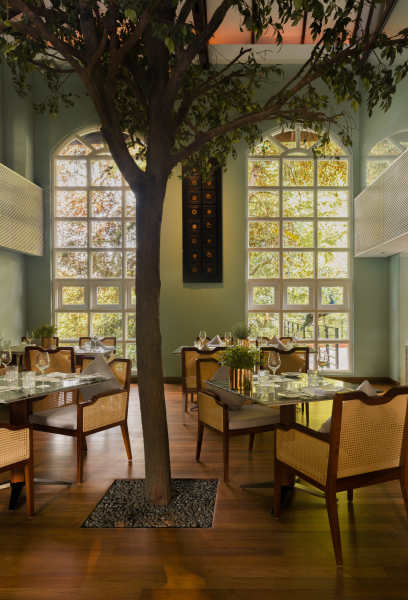 Classic style restaurant with olive green interior and inner tree