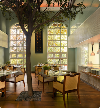 Classic style restaurant with olive green walls and an internal tree