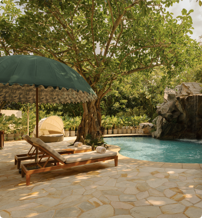 Small wimming pool under a large tree with green umbrellas and poolside loungers