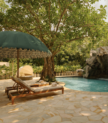 Raffles Sentosa Pool Image Small wimming pool under a large tree with green umbrellas and poolside loungers
