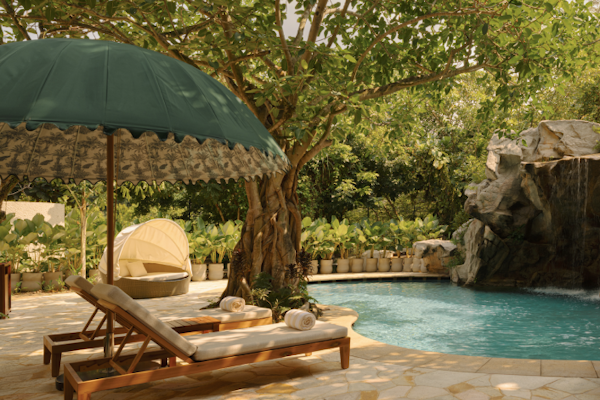 Raffles Sentosa Pool Image Small wimming pool under a large tree with green umbrellas and poolside loungers