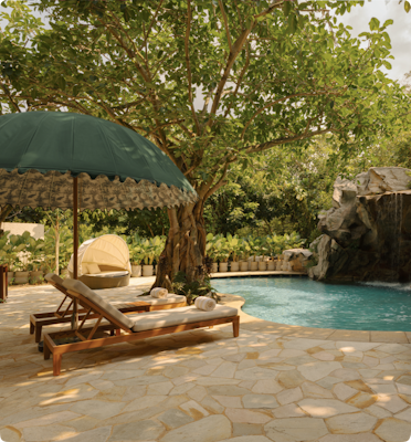 Small wimming pool under a large tree with green umbrellas and poolside loungers
