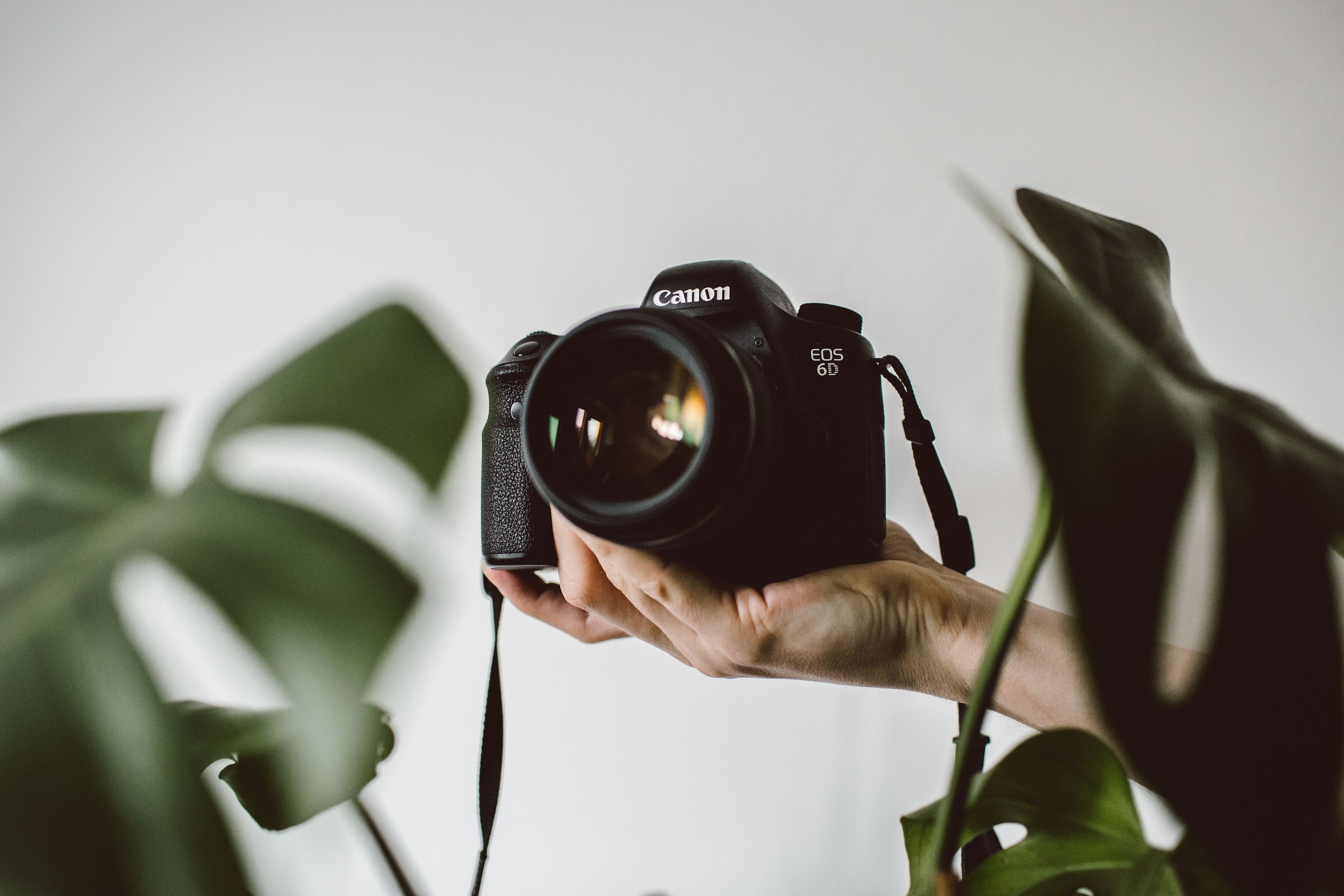 Next-Gen Image Formats: WebP and AVIF