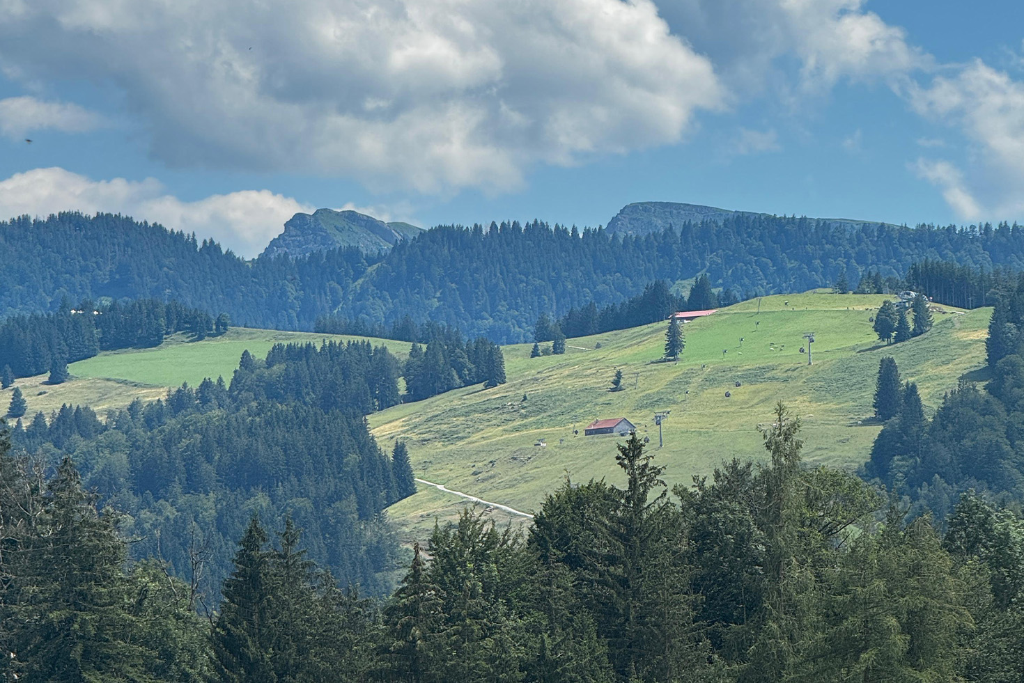 Germany pre-season tour