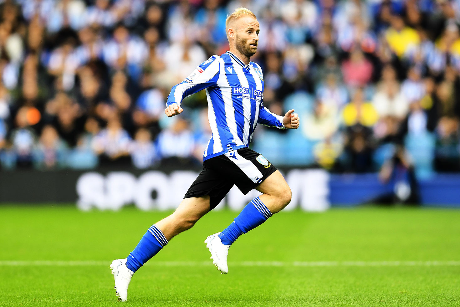 The Opposition: Sheffield Wednesday