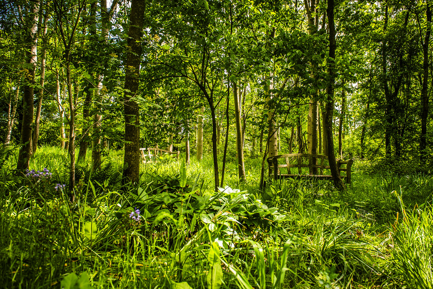 Memorial Woodlands support the community