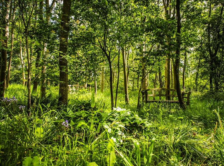 Memorial Woodlands support the community