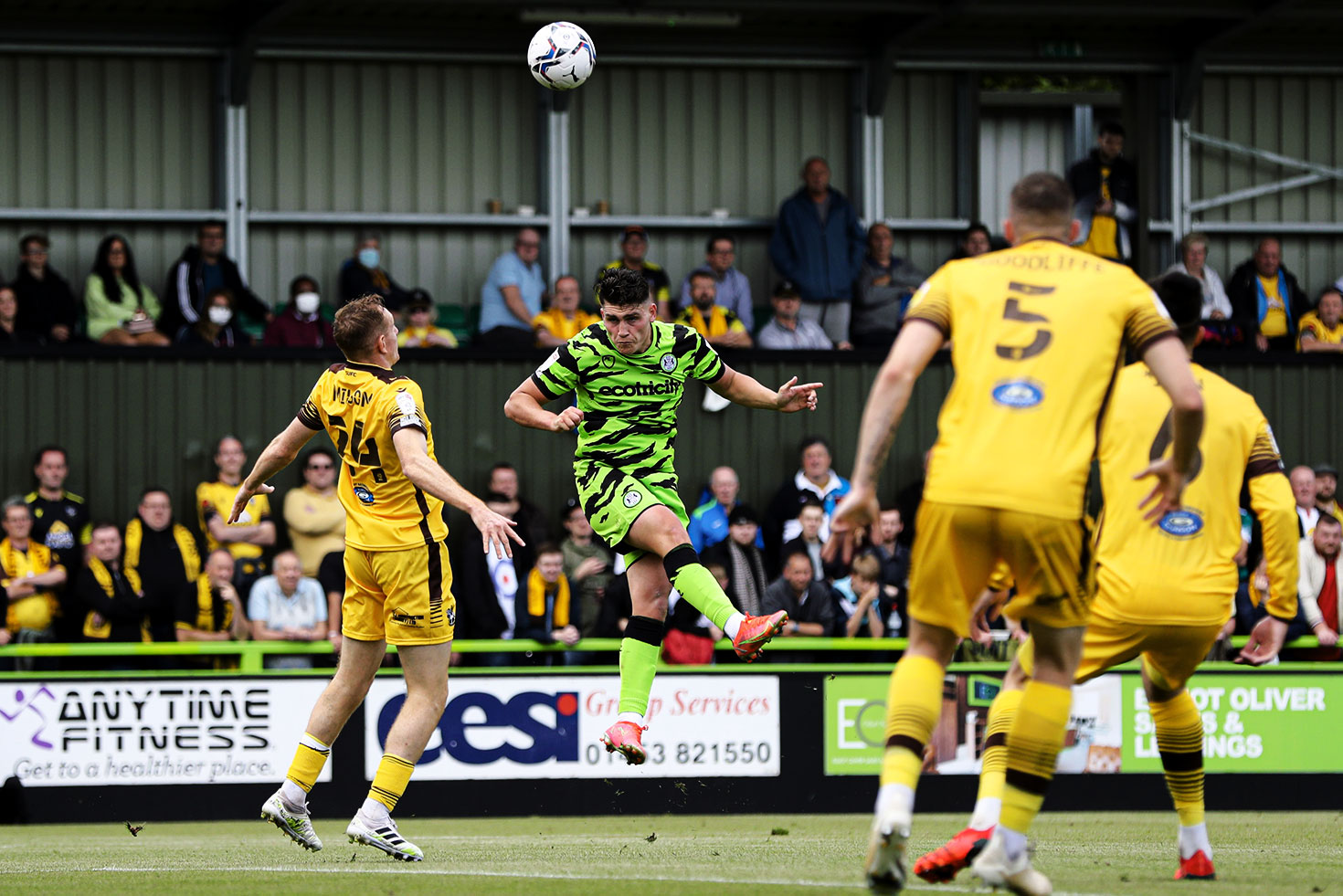 Get the lowdown on Sutton