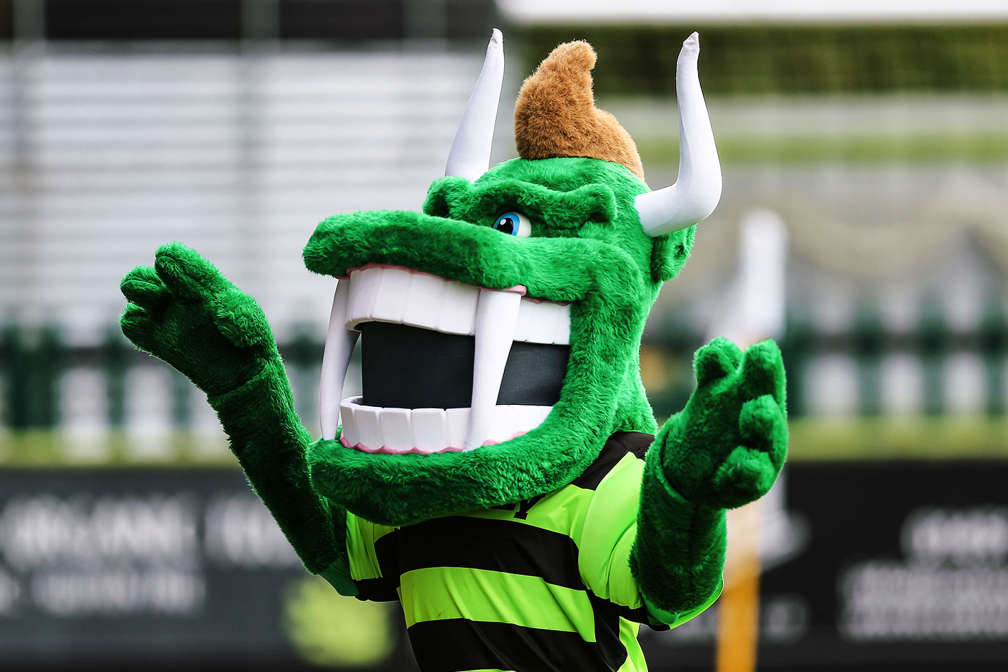 Search for new Green Devil