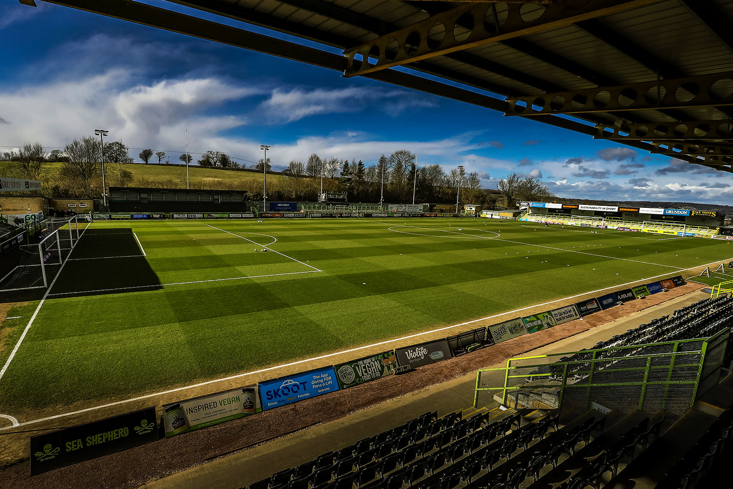 The New Lawn: Free to a good home