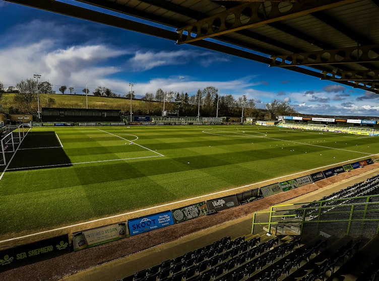 The New Lawn: Free to a good home