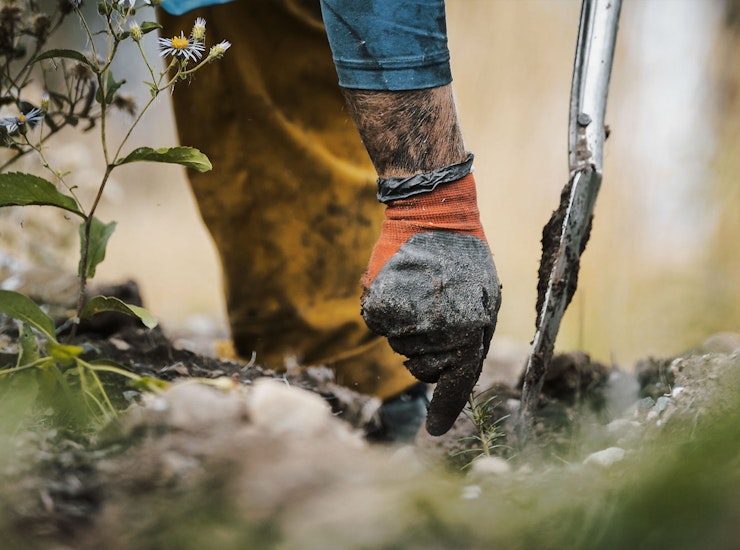 Rovers and One Tree Planted reforestation pledge