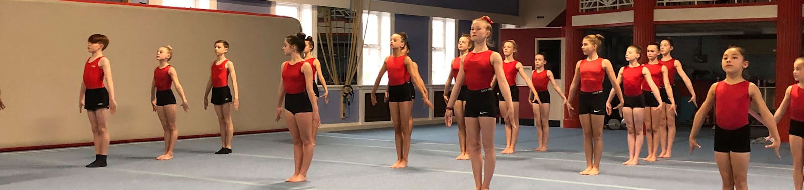 Gymnasts