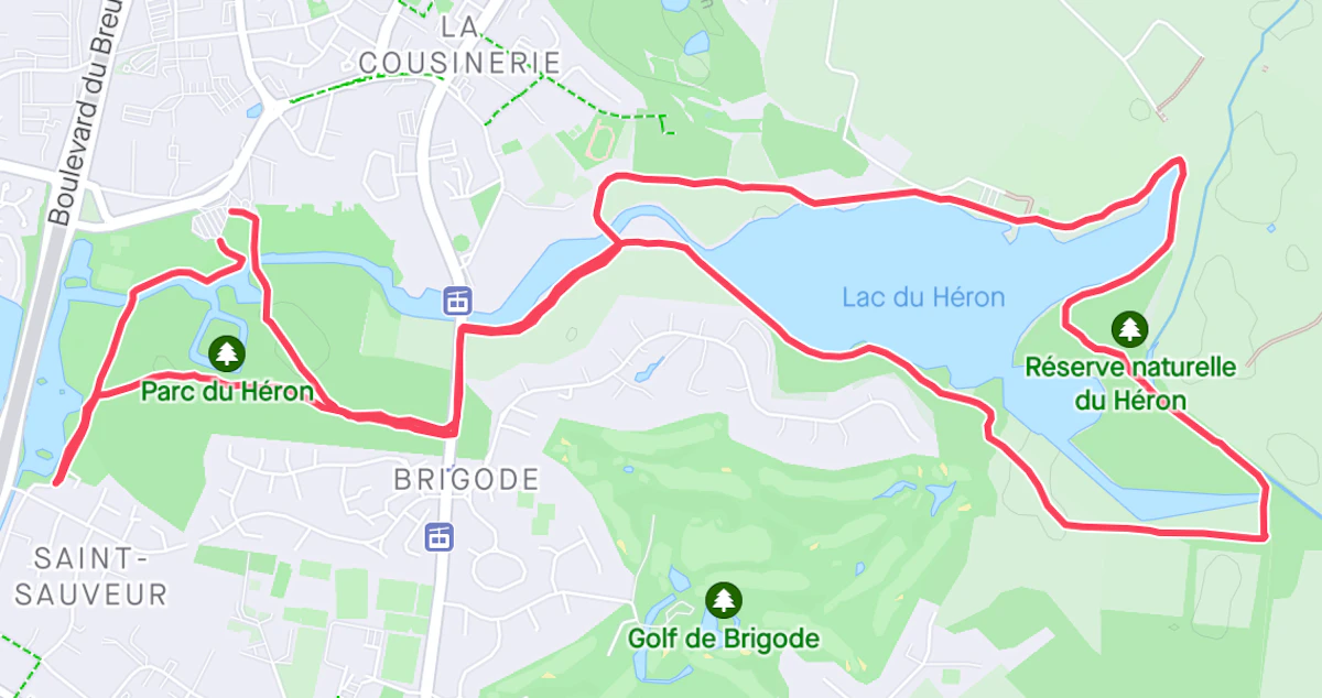 article courir a lille strava 3