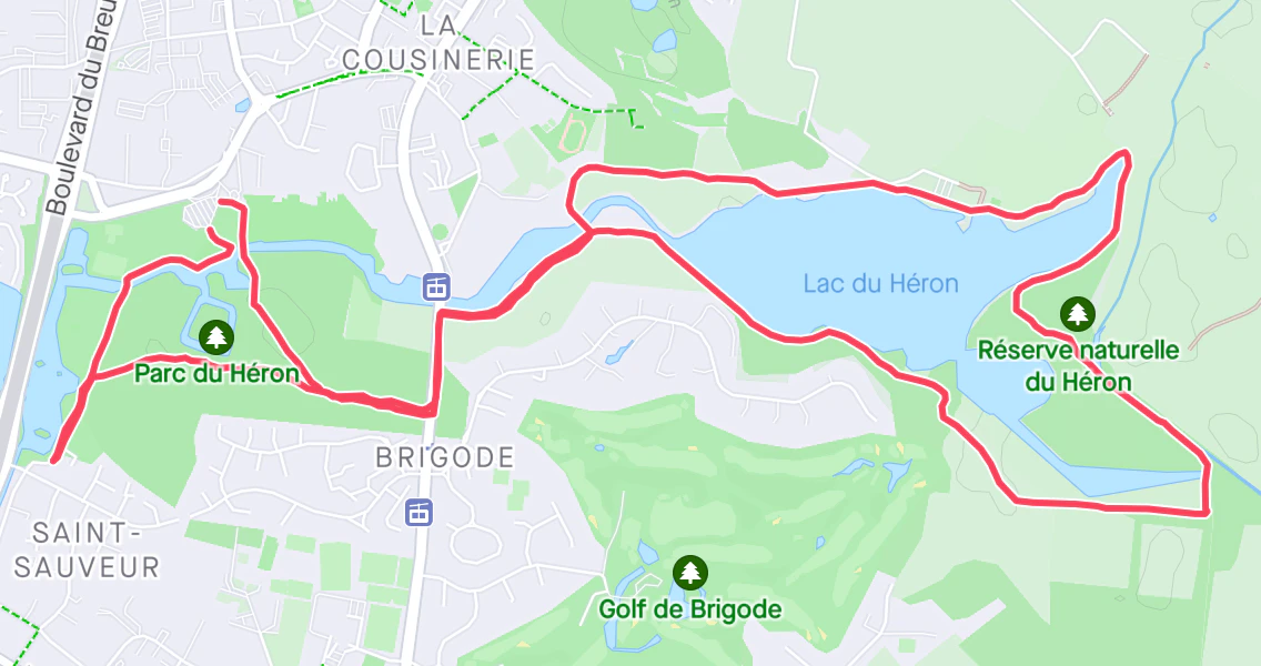 article courir a lille strava 3
